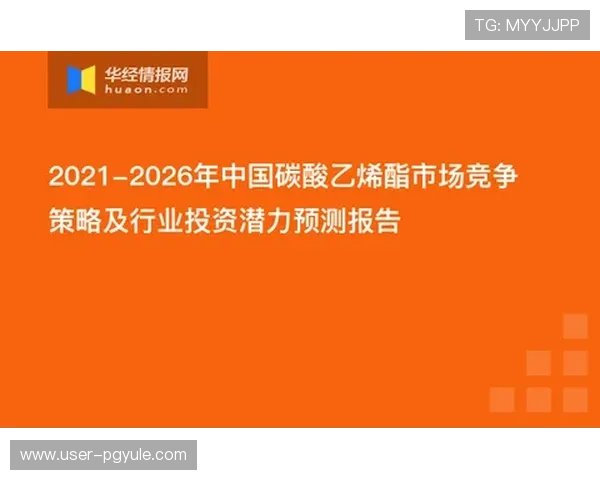 AG恒丰娱乐安全保障措施详解，保障玩家资金与个人信息安全的实用建议