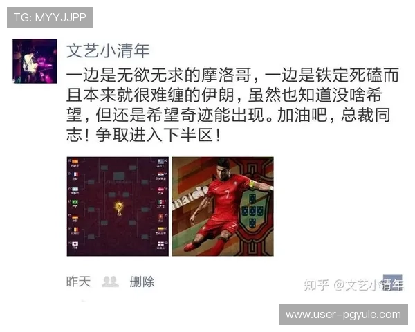 2026年世界杯比利时对阵伊朗比赛球票价格详尽分析与购买指南
